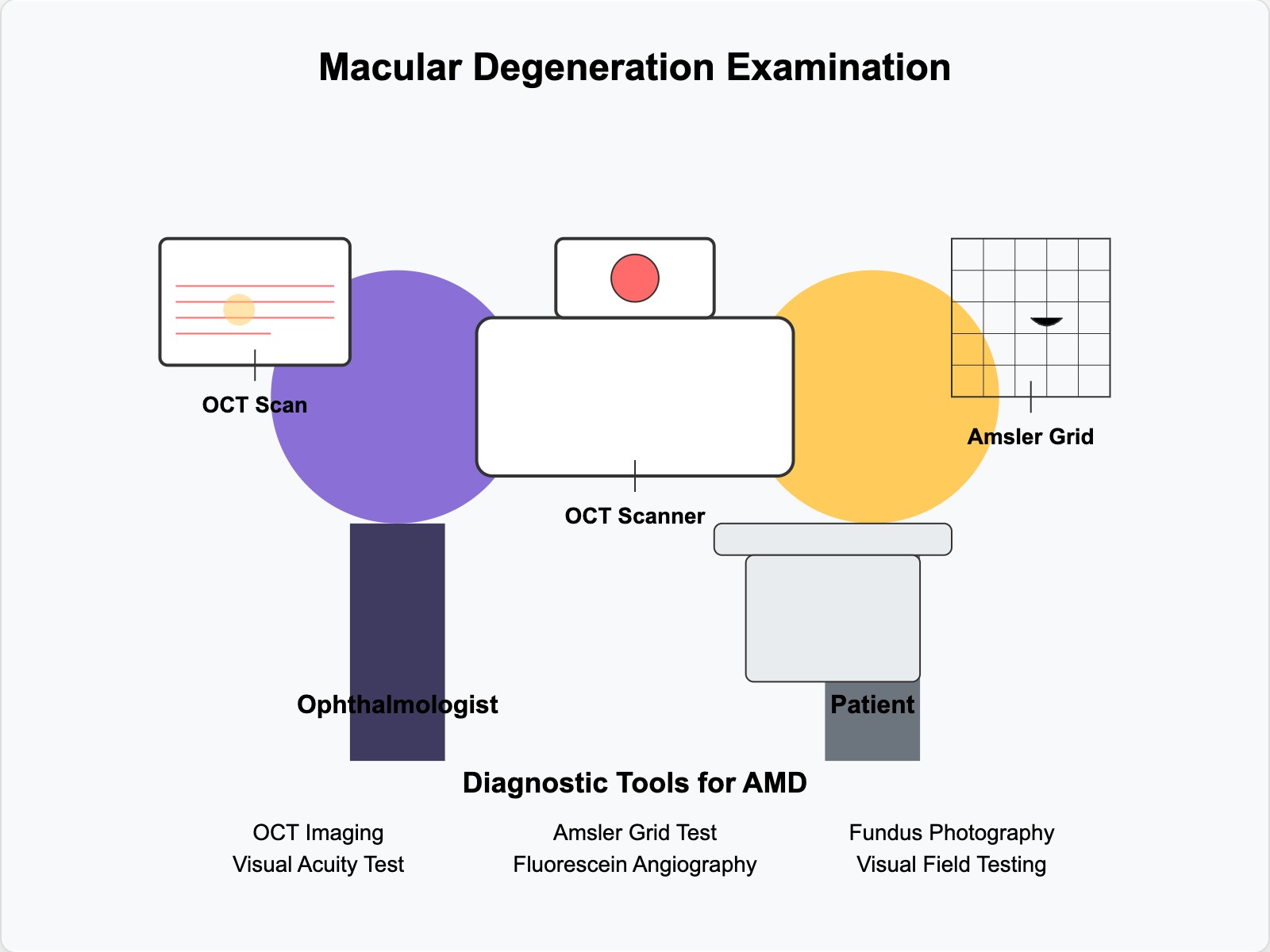 Macular Degeneration Examination