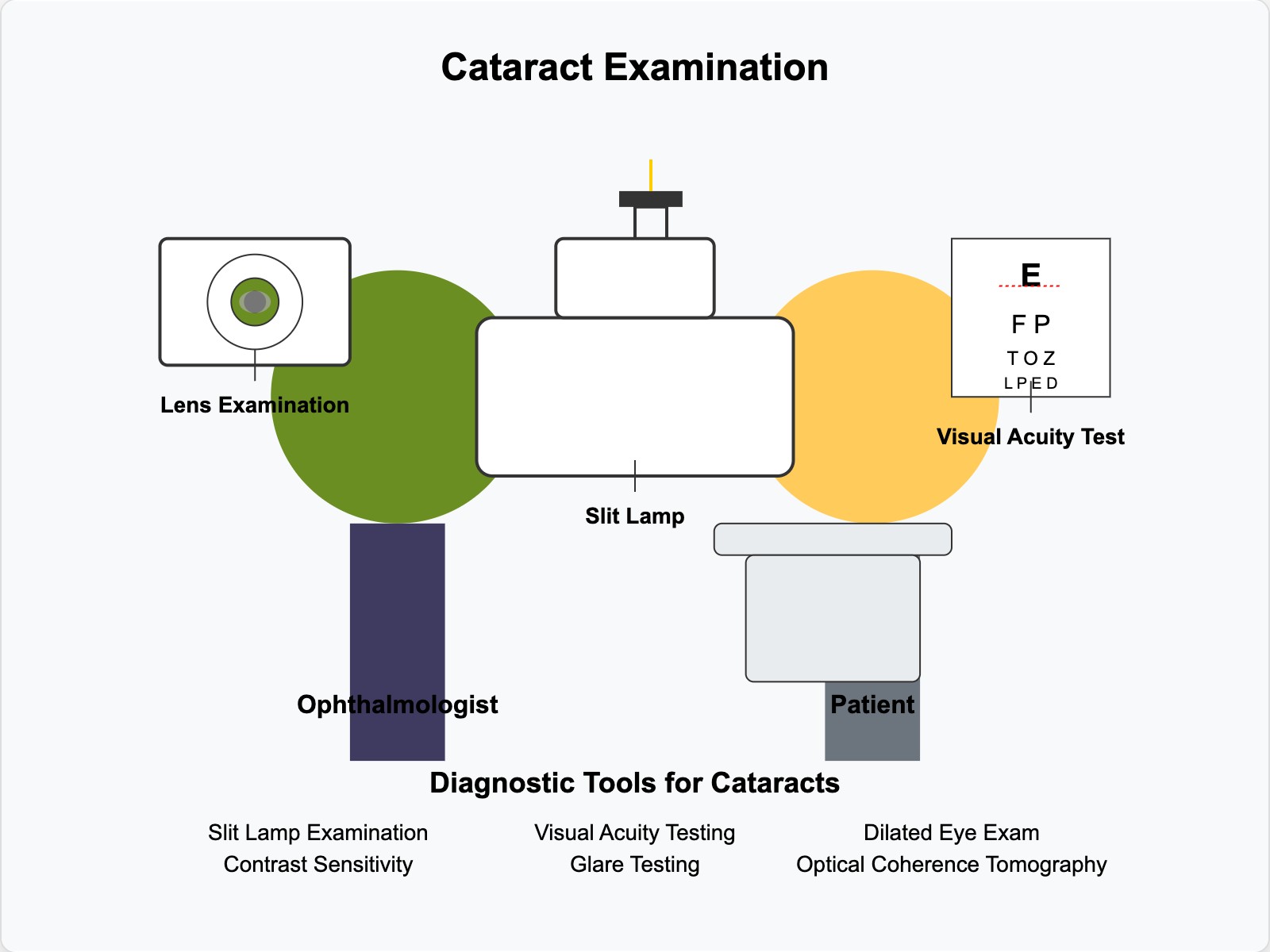 Cataract Examination